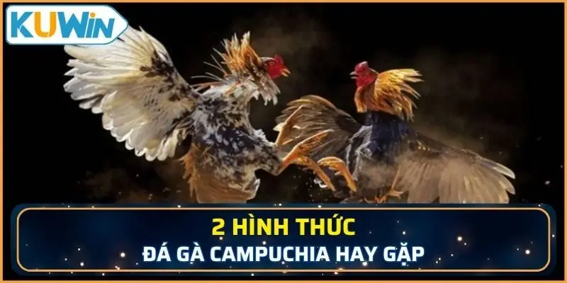 2 hình thức đá gà Campuchia hay gặp