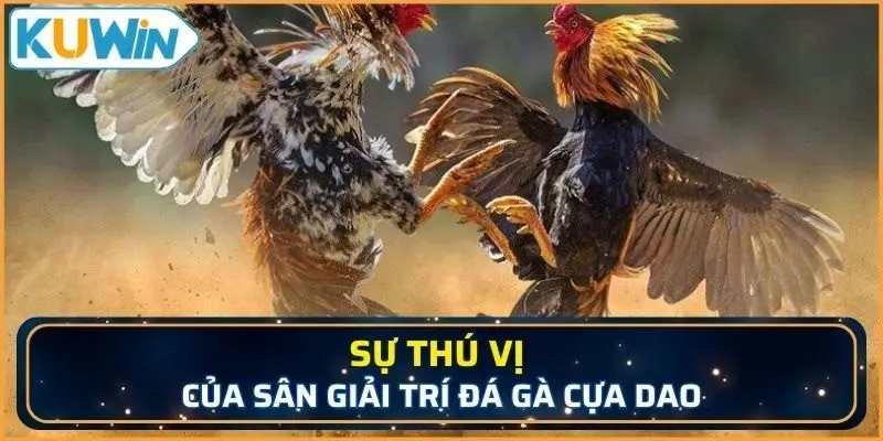 Bạn sẽ được mãn nhãn khi chứng kiến trận đấu