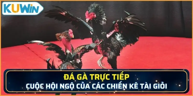 đá gà trực tiếp