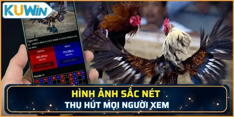 Hình ảnh sắc nét thu hút mọi người xem