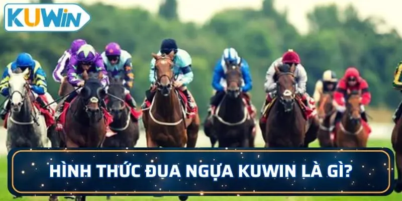 Hình thức đua ngựa KUWIN là gì?