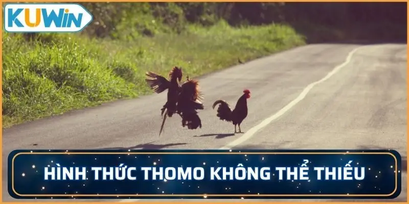 Hình thức Thomo không thể thiếu