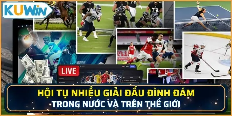 Hội tụ nhiều giải đấu đình đám trong nước và trên thế giới