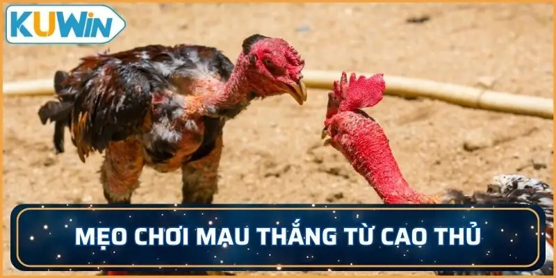 Mẹo chơi mau thắng từ cao thủ