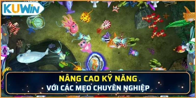 Nâng cao kỹ năng với các mẹo chuyên nghiệp