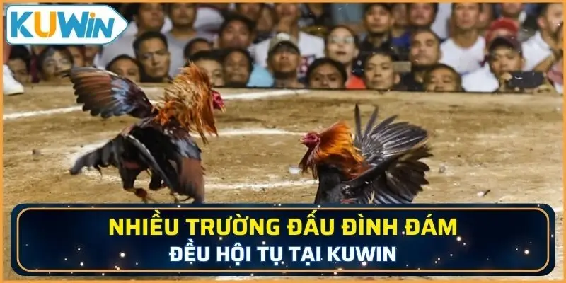 Nhiều trường đấu đình đám đều hội tụ tại KUWIN